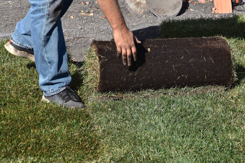 Sod Installation Service