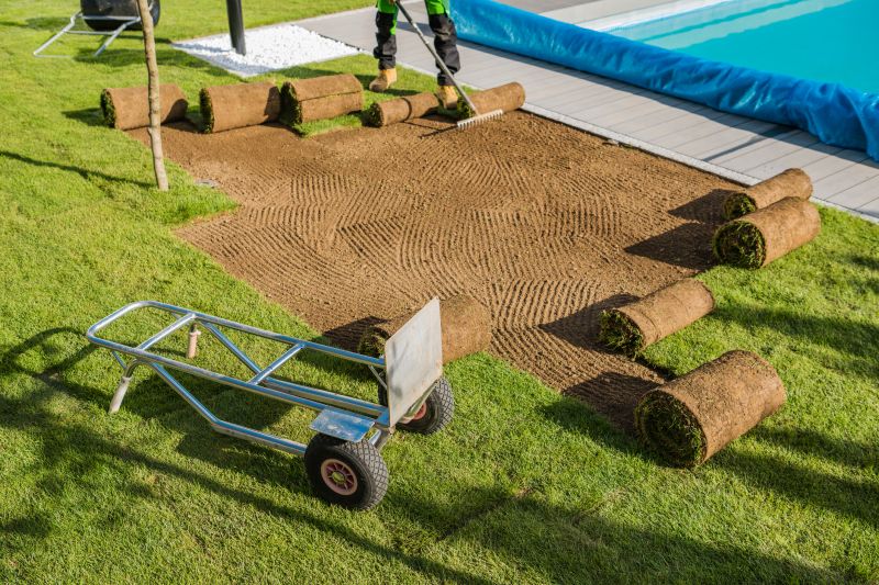 Sod Replacement Services Overview