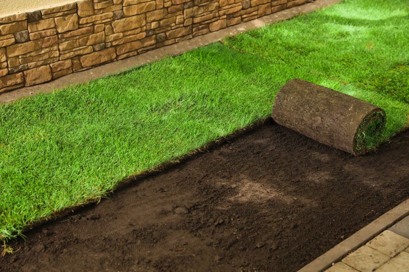 Sod Replacement Products and Supplies