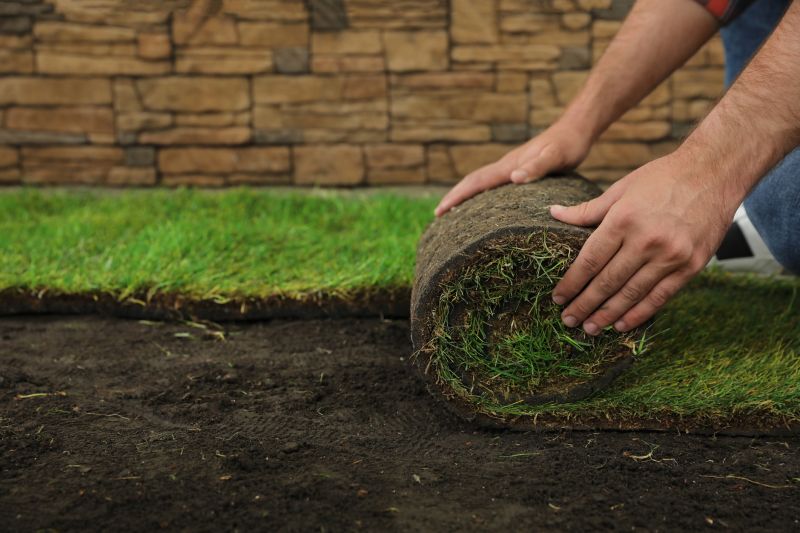 Service Locations for Sod Replacement