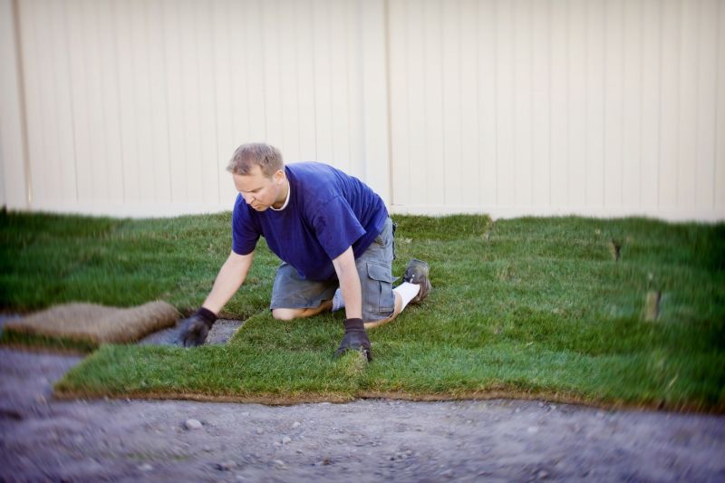 Bentgrass Sod Installation in Honolulu, HI