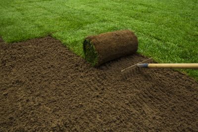 Proper Soil Preparation