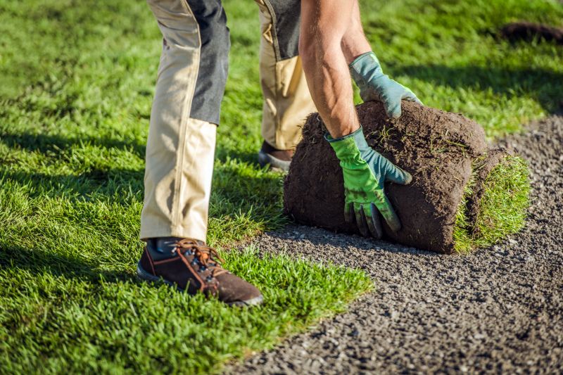 Expert Sod Installation