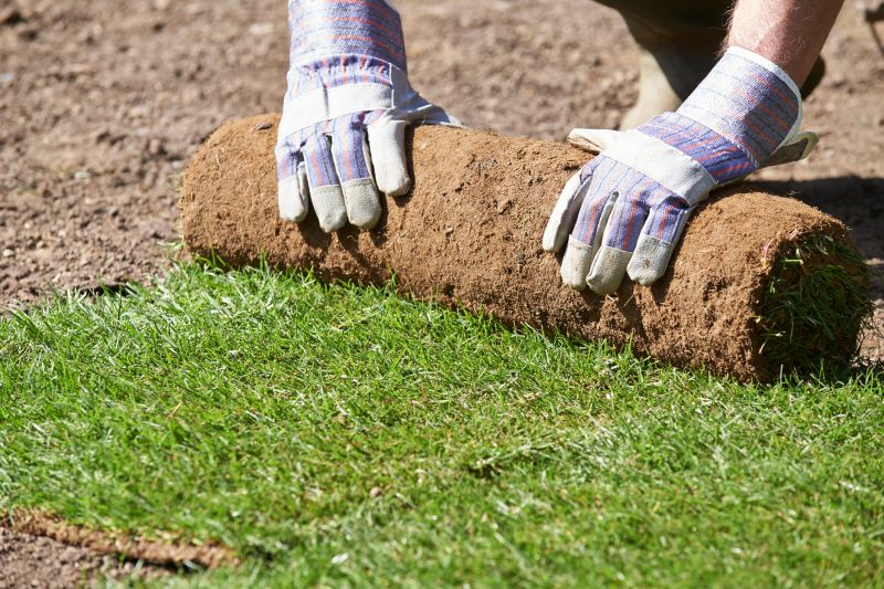 Sod Landscaping