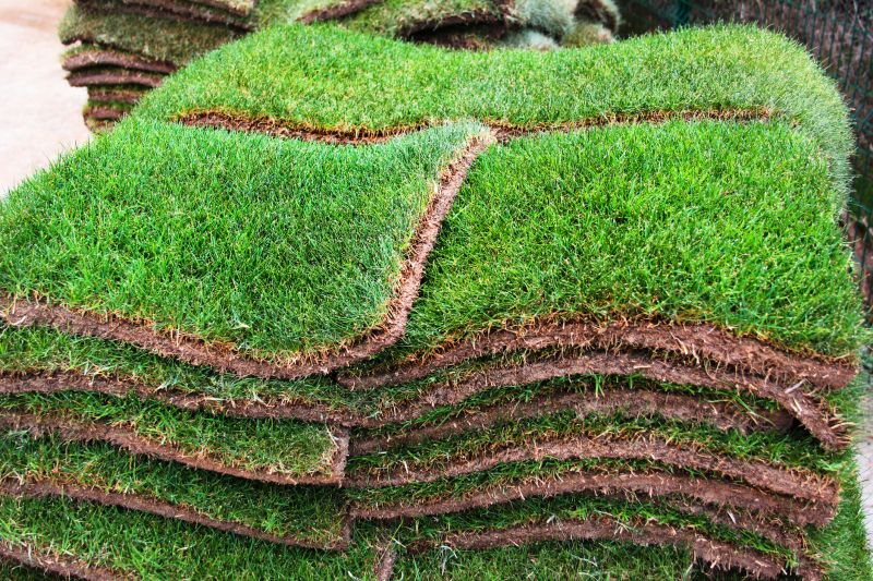 Lush Green Sod Installation