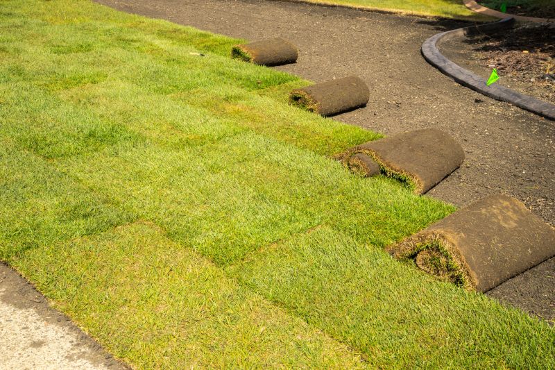 Sod Installation in Spring