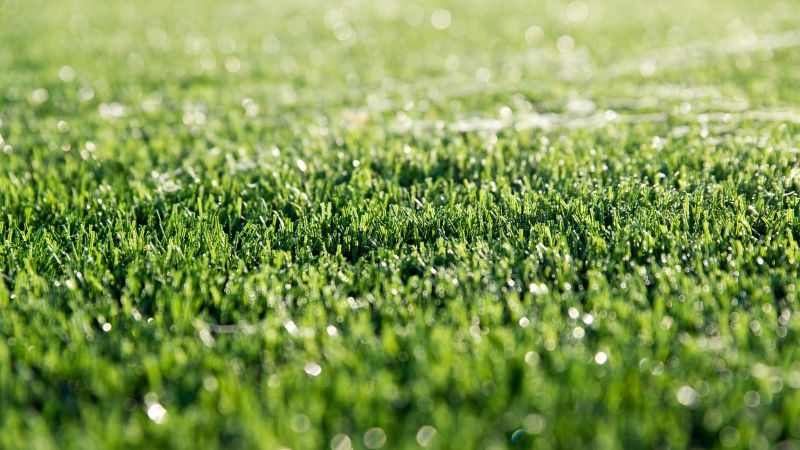 Replacing Sod Creates a Uniform Appearance!
