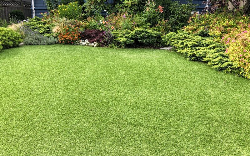 Sod Creates Instant Greenery!